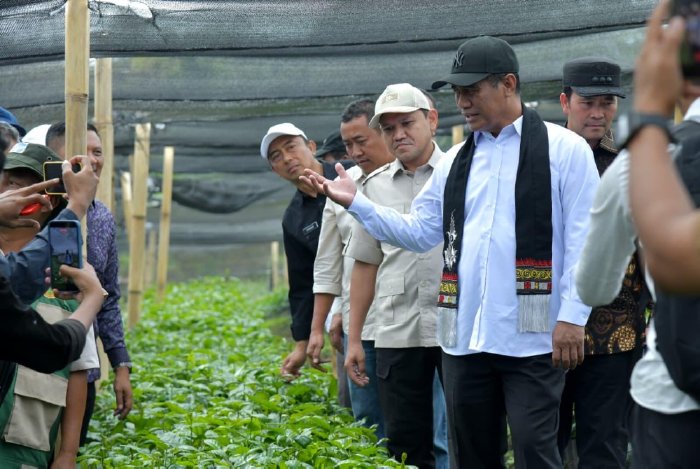 ‎Mentan Apresiasi Kinerja Pemerintah Aceh, Janji Terus Dukung Pengembangan Pertanian dan Kopi Gayo