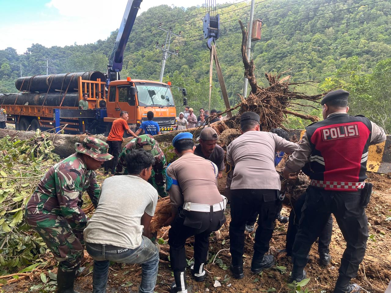 Respons Cepat Polsek Sawang Bersama TNI, Damkar, dan PLN Evakuasi Pohon Tumbang, Jalur Nasional Kembali Lancar