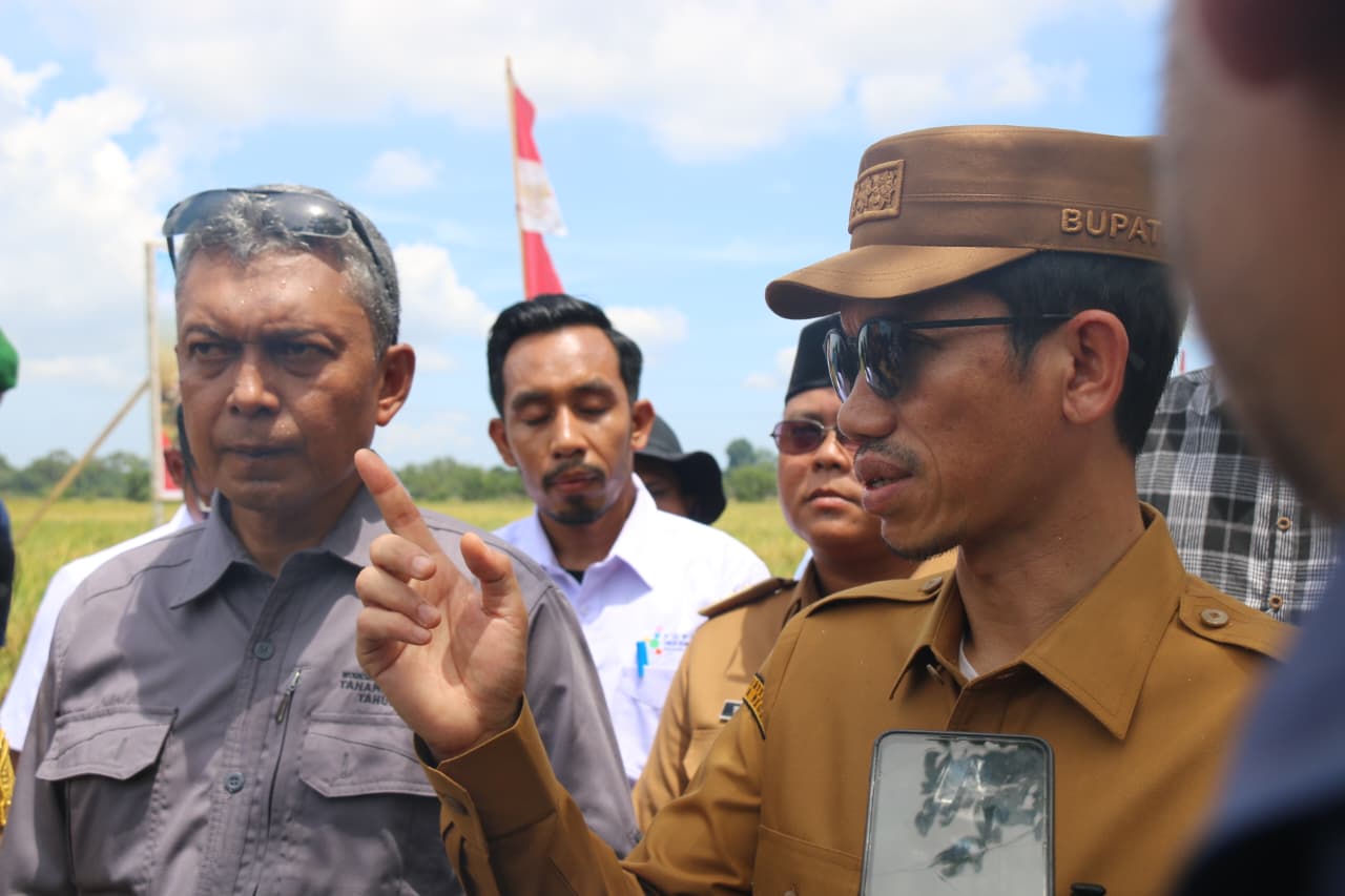 Panen Raya Aceh Barat, Gubernur Mualem: Sejalan dengan Misi Pemerintah Aceh